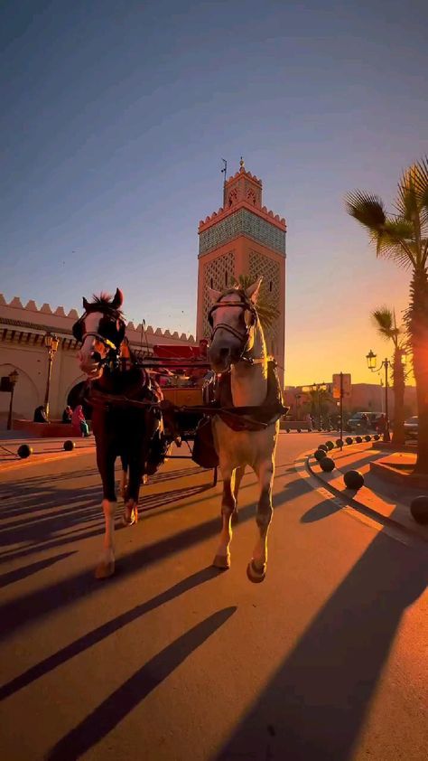 Morocco travel agency