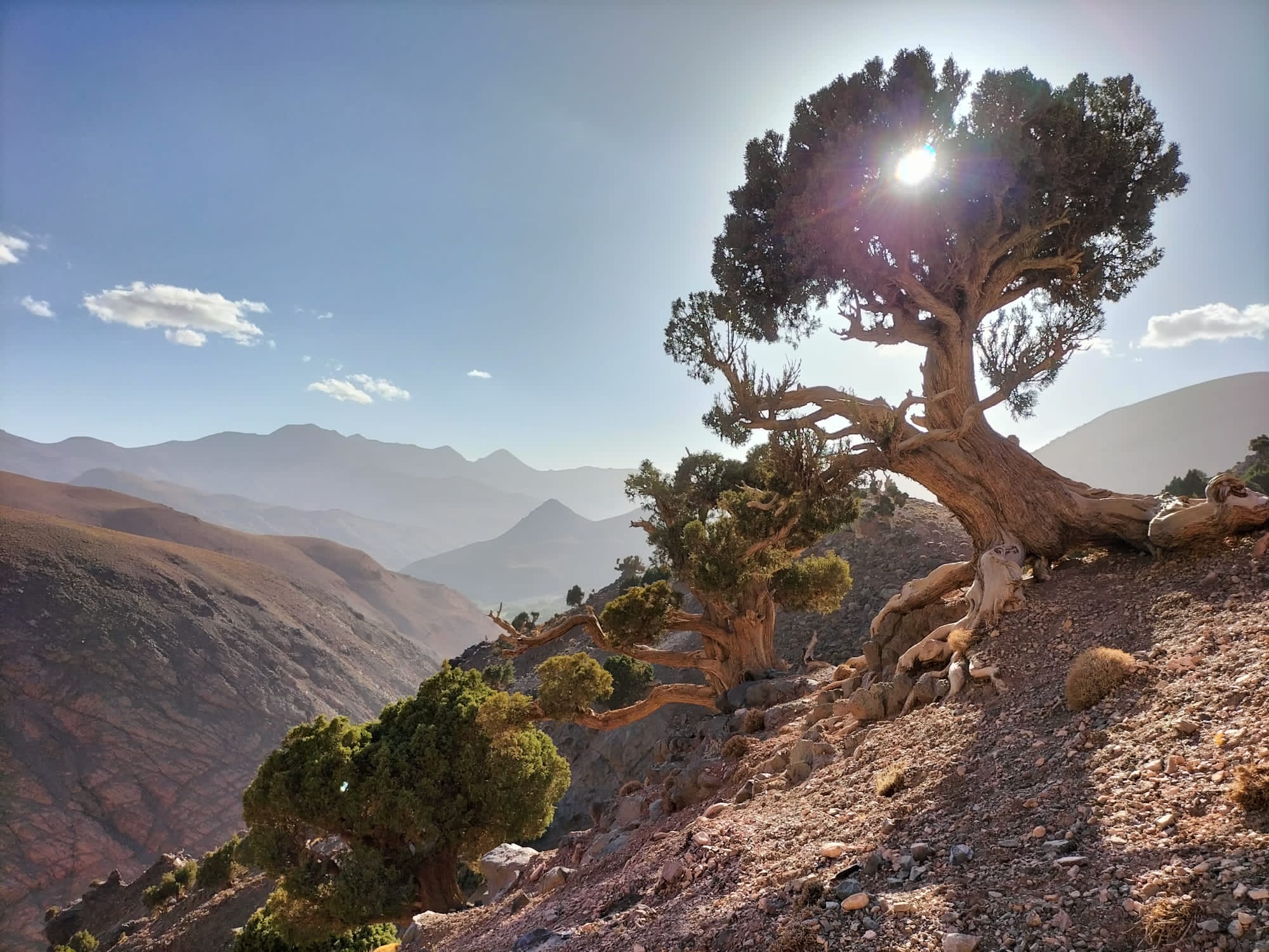Toubkal Trekking authentic berber tours