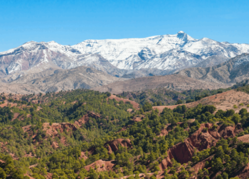 Marrakech medina tours — Private Experience
