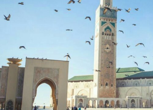 Marrakech guided excursions — Prime Experience