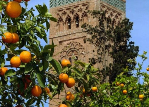 Marrakech sightseeing planner | Essential Travel