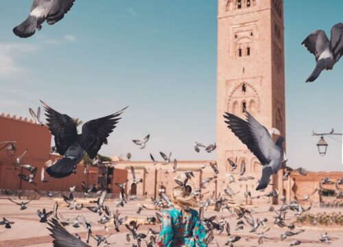 Marrakech sightseeing — Essential Tours