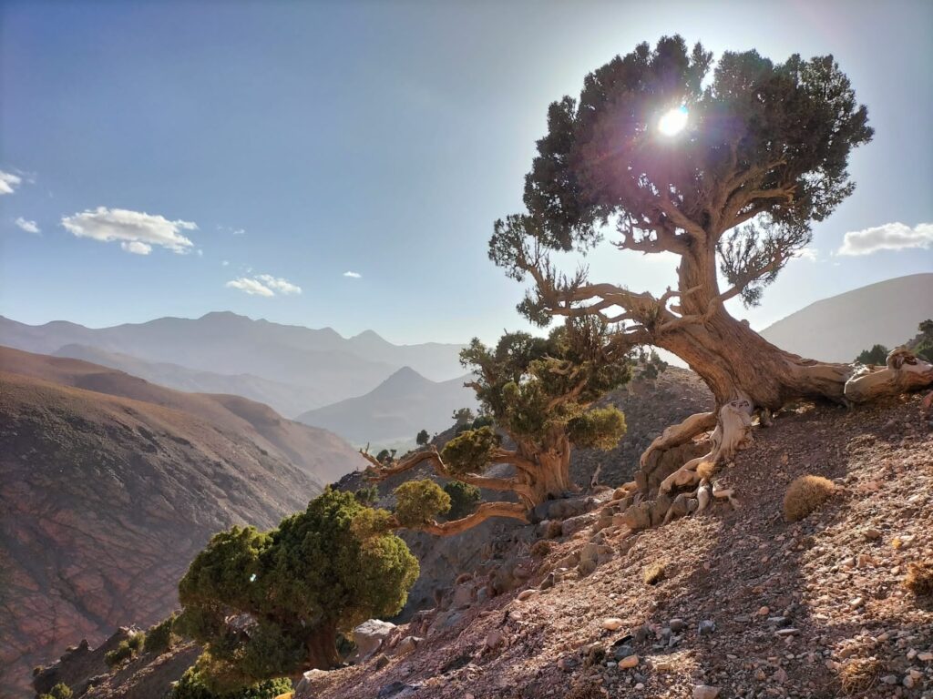 Morocco top excursions