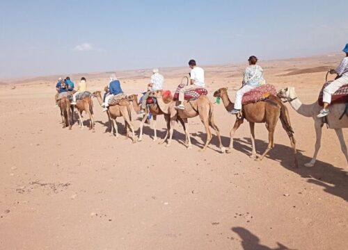 Marrakech desert adventure: Authentic Services